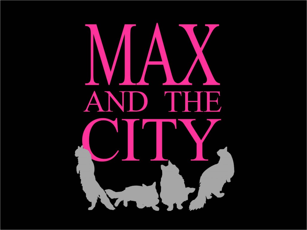 MAX AND THE CITY