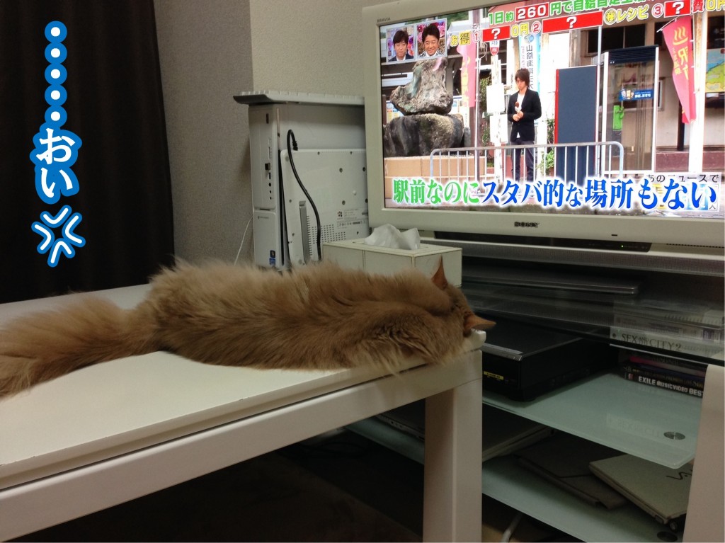 テレビを観る